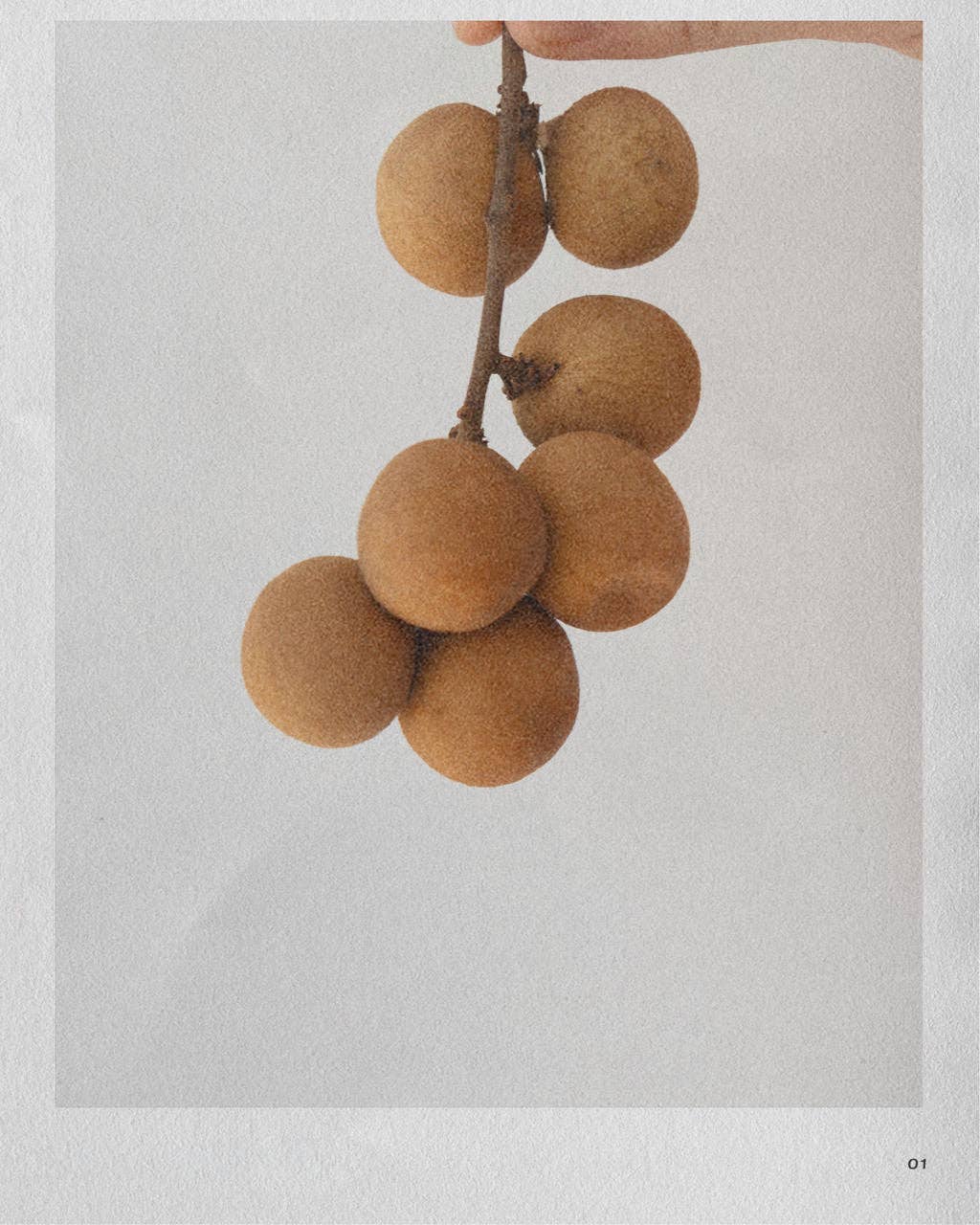 NUMBER FIVE // V | LYCHEE + PEONY HAND CREAM: 100g